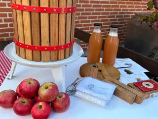 Frugtpresser (Lav dit eget økologiske æblemost)