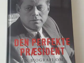 Den perfekte præsident