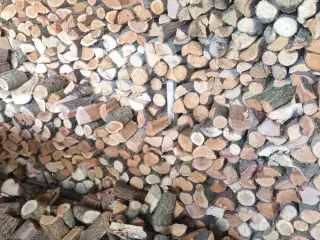 Brænde / træ