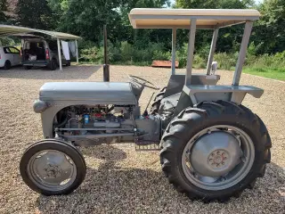 Ferguson TEA 20