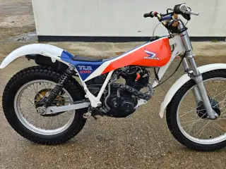 Honda TLR200 Trial