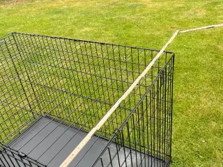 Stort tråd bur til stor hund