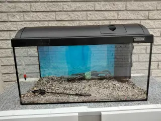Akvarier 54L 