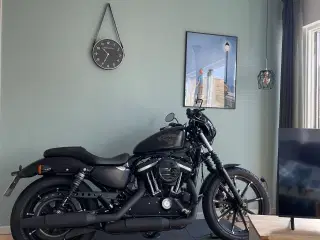 Harley Davidson XL 883 IRON N 