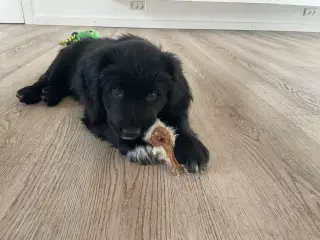 Klar til at flytte hjemmefra💙💙🏡