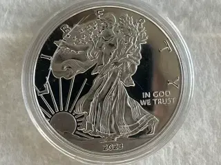 Nye America eagle .