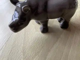 Næsehorn 