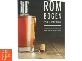 Rombogen : opdag de gyldne dråber af Mads Heitmann (f. 1988) (Bog)