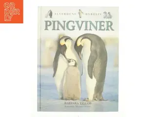 Pingviner af Barbara Taylor (Bog)