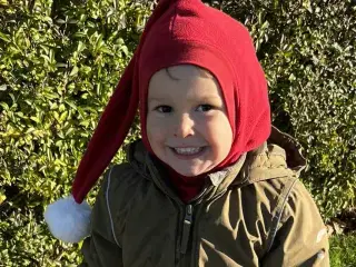 Elefant nissehue uld /øko bomuld