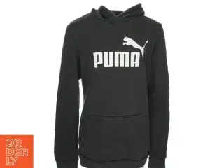 4 stk flotte Hættetrøjer og sweatshirts (str. 164-168)