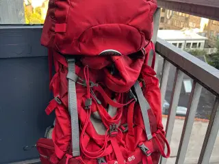 UDLEJES - Osprey rygsæk 65 L dame
