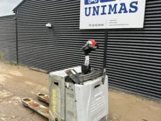 2500kg elhund