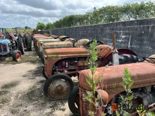 - - - LOT Med 20 stk. Massey Ferguson Oldtimer Traktorer.