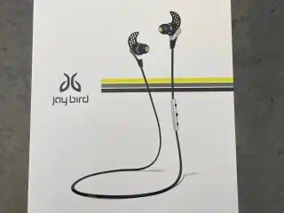 Bluebirds X Headset 