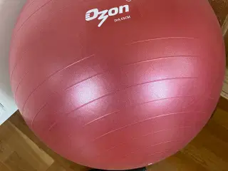 Træningsbold 65 cm.
