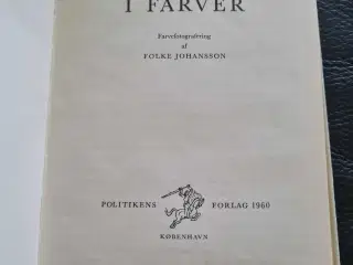 Sten I farver - Politikens forlag 