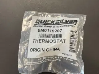 Mercury Thermostat