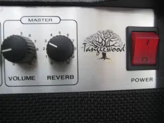 Tangelwood "tube amp"