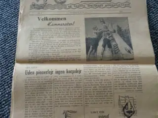 Sildeposten 
