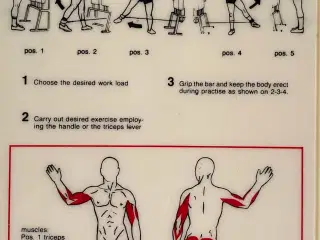 Træningssamlinger til primært biceps og triceps 