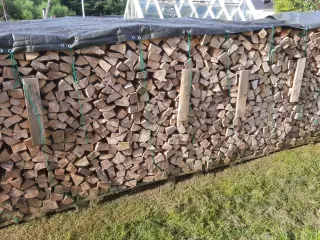 Tørt bøgebrænde