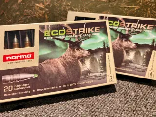 300 Win Mag 