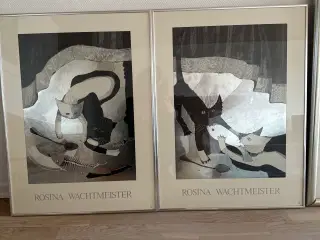 Billeder af Rosina Wachtmeister 