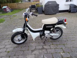 Suzuki fz 50 