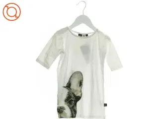 T-Shirt (NMM) fra Molo (str. 116 cm)