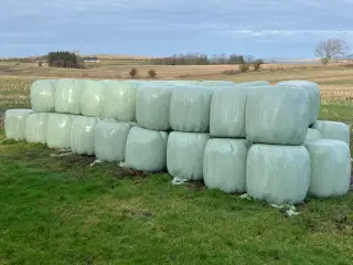 Wrap velegnet til heste