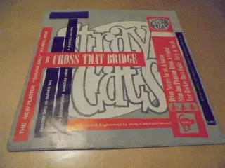 Single: Stray Cats - It's in the 45  