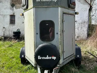 Brenderup Hestetrailer 