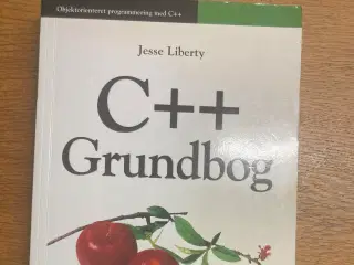 C++ Grundbog