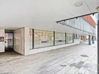 Lejemål i “Kobberpaladset"