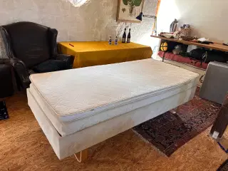 Elevationsseng 