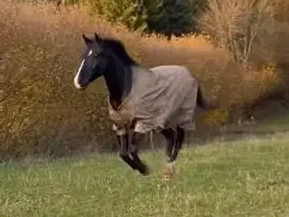 Sjov, smuk og nem 