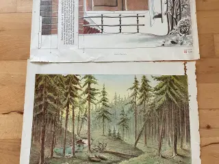  Kullisser af Alfred Jacobsen til Det kgl. Teater
