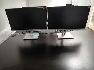 2 stk. computerskærme HP 24"