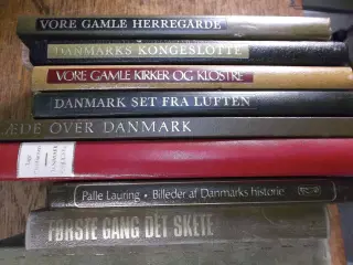 Danmarks Historien, 9 bøger om Danmark