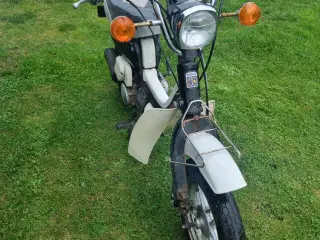 suzuki fz50 