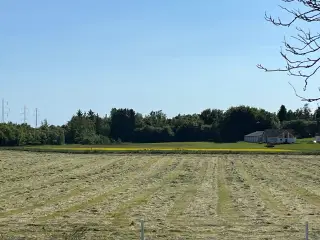 Wraphø god kvalitet 