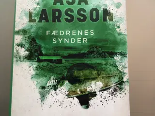 Fædrenes synder- Åsa Larsson