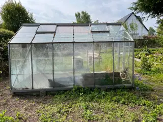 Fliser og drivhus