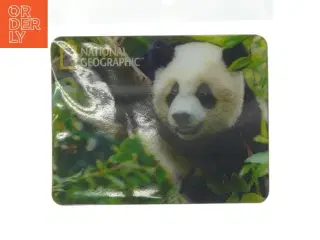 National Geographic Pandamagnet (str. 7x9 cm) fra National Geographic