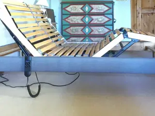 Elevationsseng