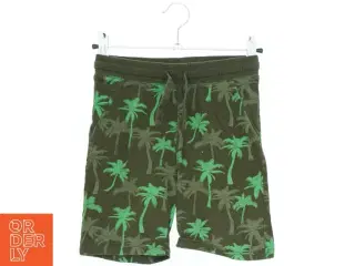 Shorts med palmeprint fra H&M (str. 122)