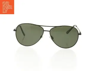 Pilot solbriller