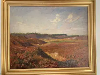 Finn Wennerwald – Dansk hedelandskab