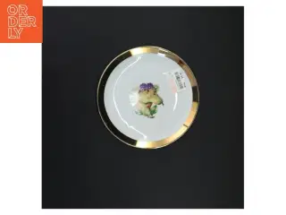 Porcelænstallerken med guldkant og fuglemotiv (str. 17 x 17 cm)